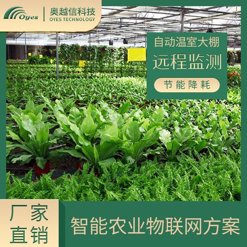 物联网花卉栽培