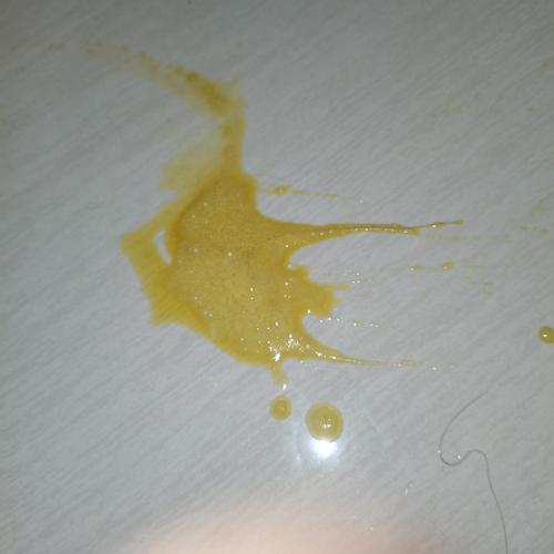 宠物狗吐黄水不吃东西怎么办