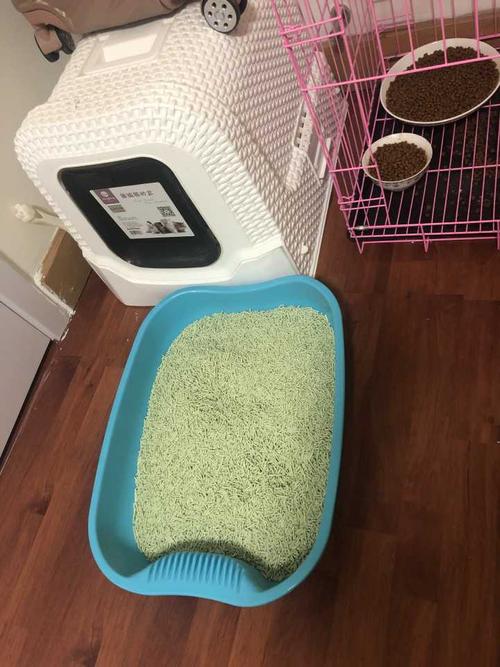 如何训练猫猫用猫砂