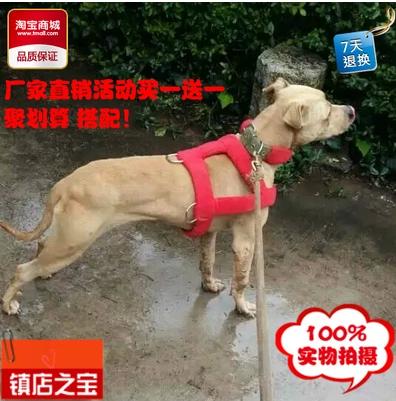 比特训练用药