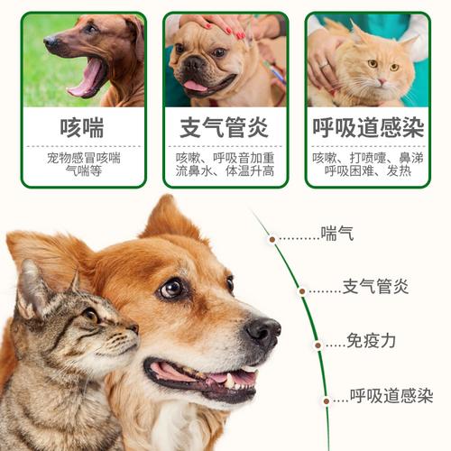 狗气管卡东西了怎么办