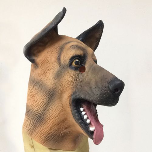 训练牧羊犬的道具