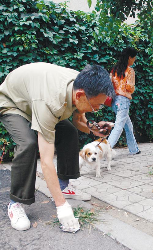 怎么样禁止狗狗随地捡东西