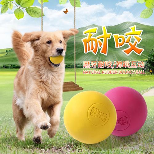 怎么训练狗把球找回来