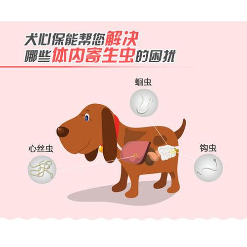 狗狗驱虫环是什么东西怎么办