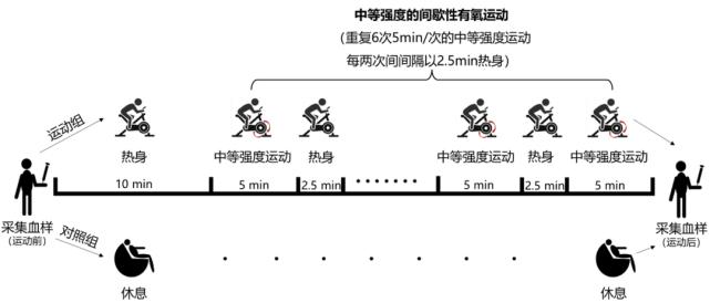间歇式有氧运动