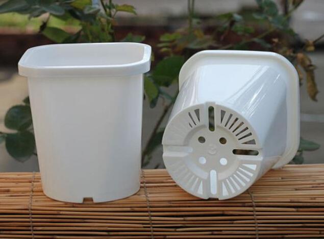 花卉栽培容器