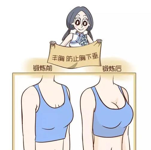 防止胸下垂的运动图片