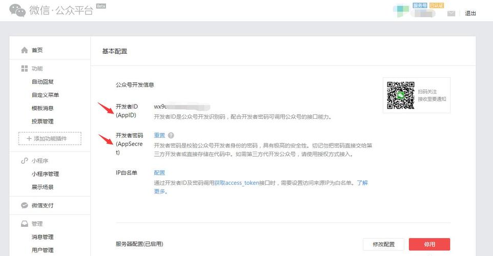 公众号怎么看