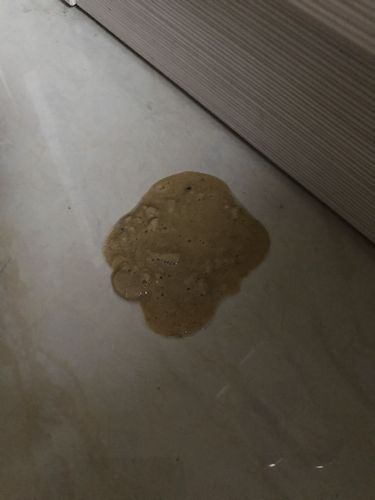 狗狗连续拉肚子很稀像水一样的东西怎么办