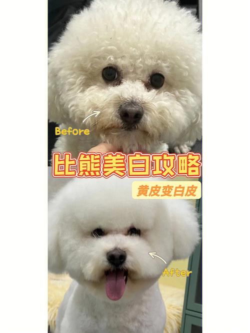 狗狗美白毛的东西