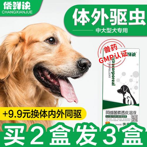 狗驱虫以后不吃东西