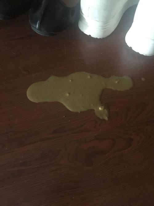 猫呕吐拉稀不吃东西
