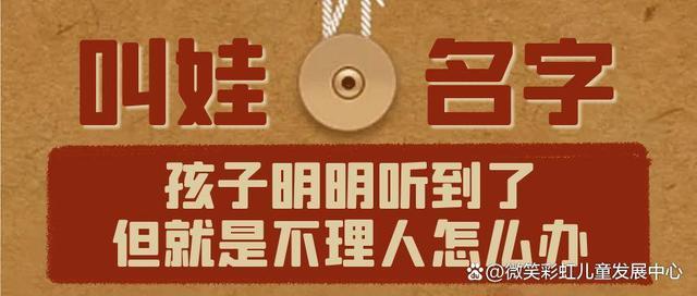 叫名字没反应怎么训练