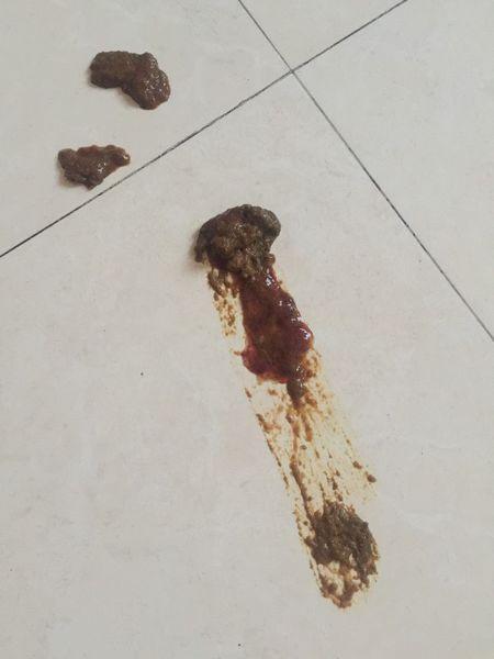 狗狗拉稀吐东西怎么办