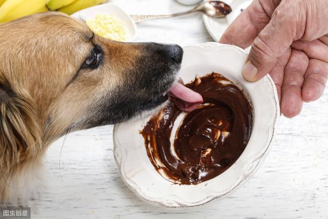 宝宝误食狗吃过的东西会怎么样