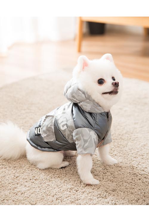 幼犬保暖都有哪些东西
