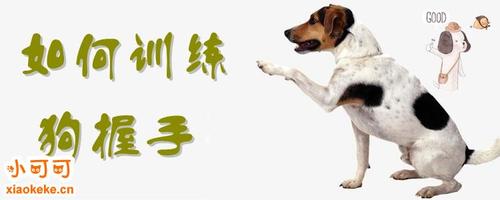 训练狗手势