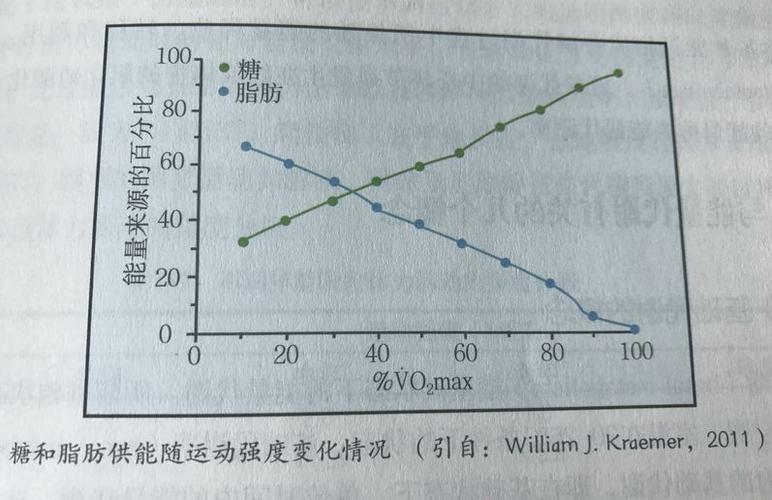 运动脂肪反升