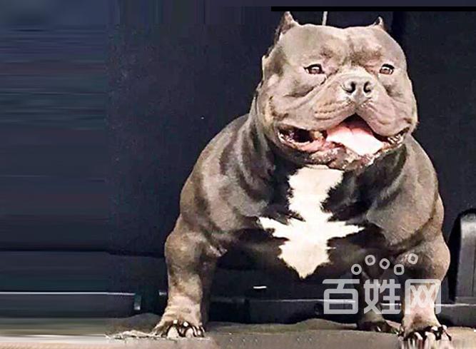 训练饿霸