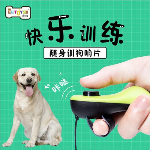 响片训练