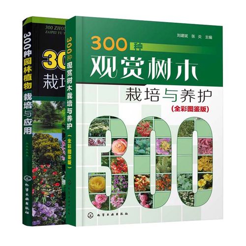 观赏植物栽培与养护