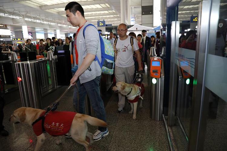 带狗坐高铁需要什么东西怎么办