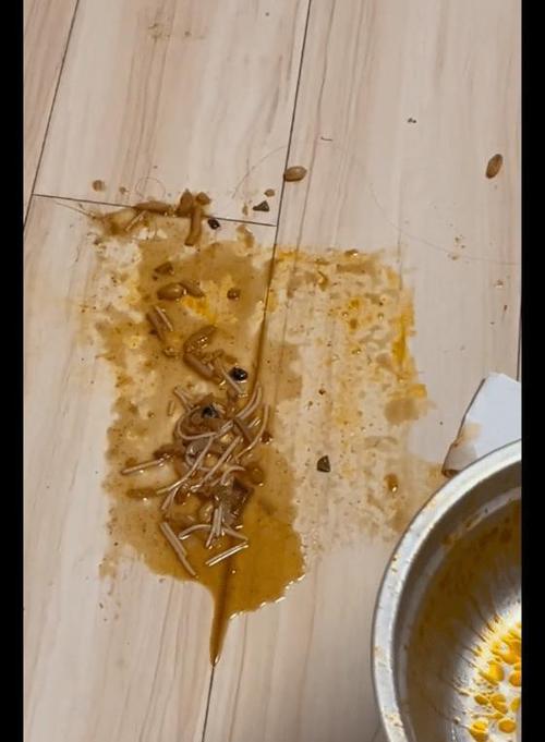不小心吃了臭东西