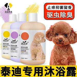 泰迪狗用的东西怎么消毒