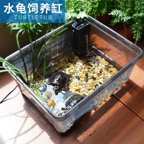 养龟所要的东西