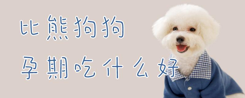 狗怀孕什么不能吃的东西