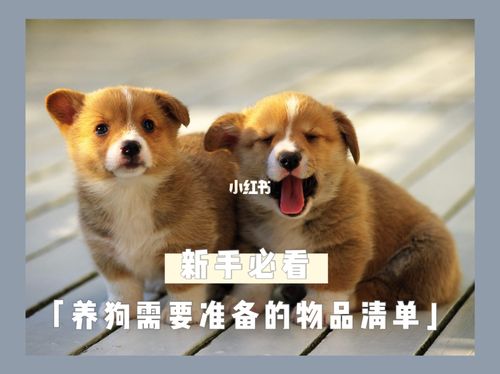 自己卖狗需要准备什么东西吗