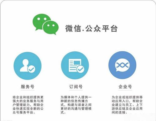 公众号怎么认证