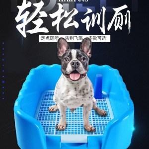 训练狗上冲水马桶
