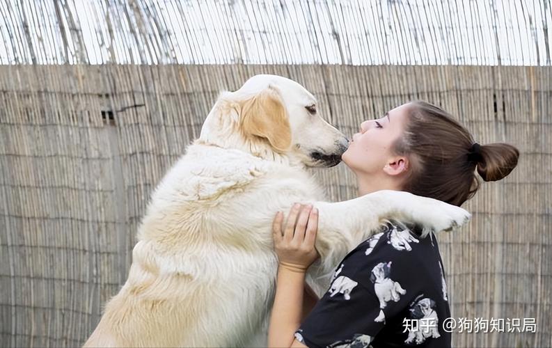 怎么训练狗闻嗅东西