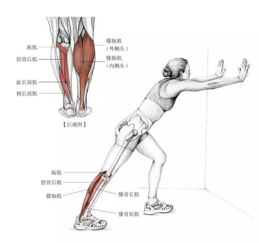 运动后放松小腿肌肉的方法
