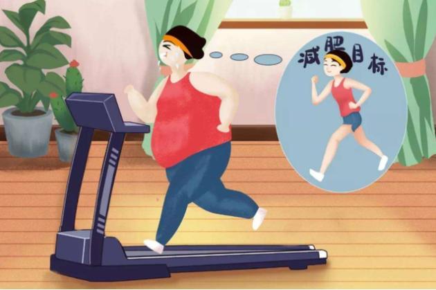 少吃饭不停运动可以减肥