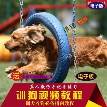 狗要怎么训练视频教程