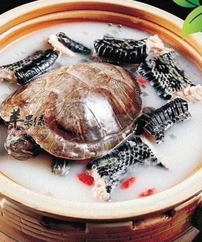 清炖蛇汤的做法