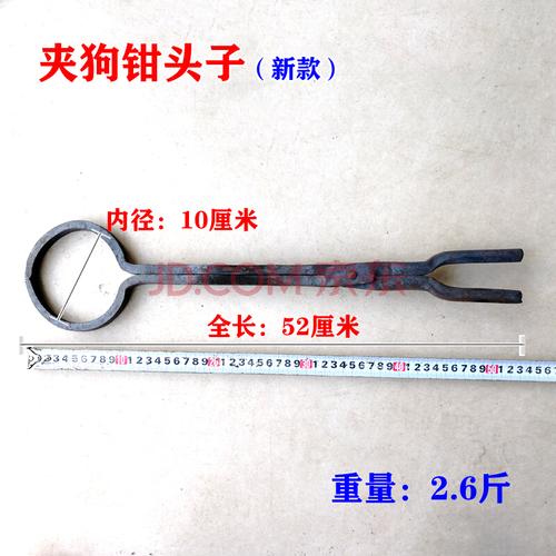 训练狗的工具