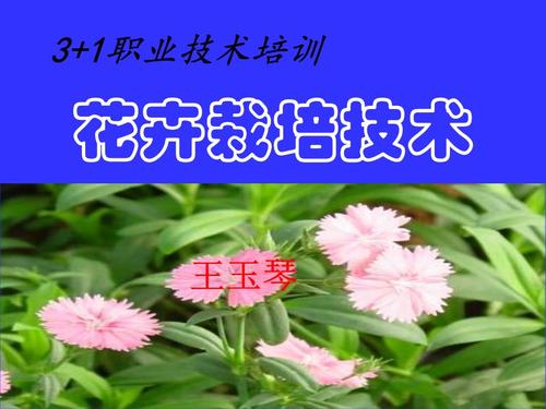 花卉栽培概述