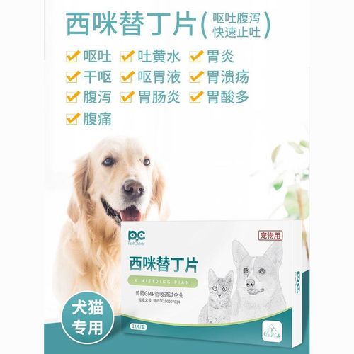 狗狗吐东西拉肚子怎么办吃什么药