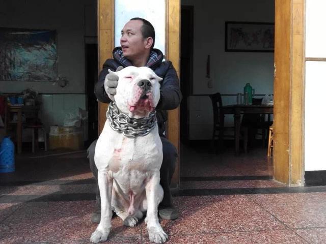 如何训练杜高视频