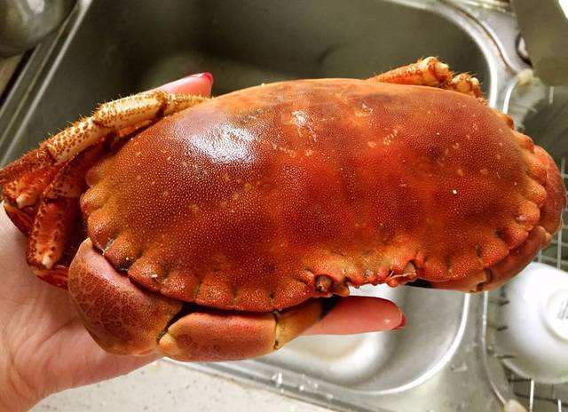 面包蟹做法大全