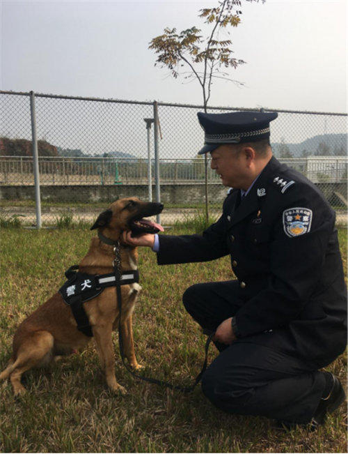 追踪犬训练与使用