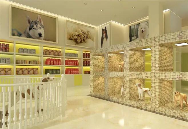 开一家宠物店需要什么东西