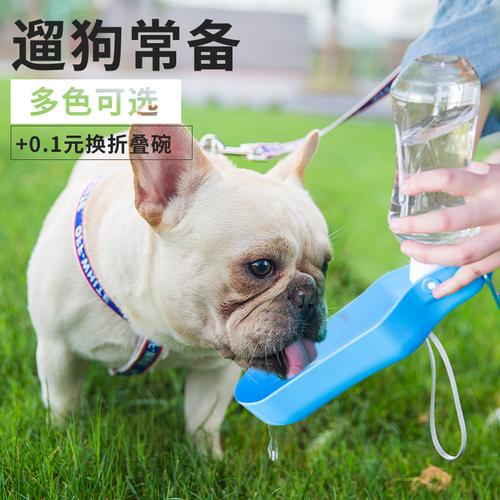 怎么训练狗狗用饮水器