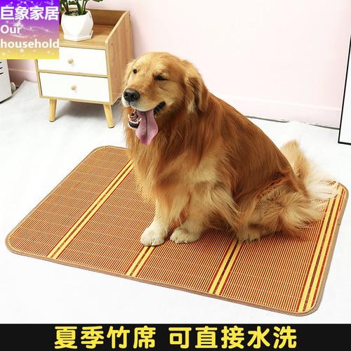 夏天生狗应该准备什么东西