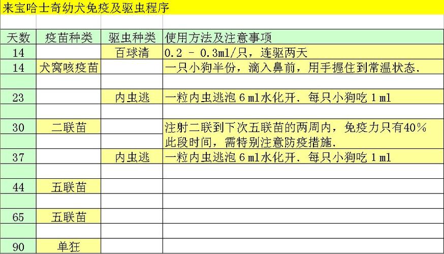 训练狗狗的时间表