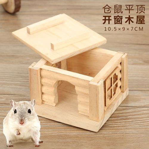 仓鼠窝里需要哪些东西